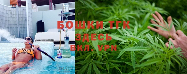 дживик Баксан