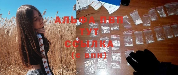 дживик Баксан