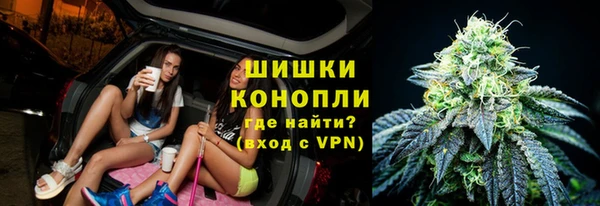 молекула духа Балахна
