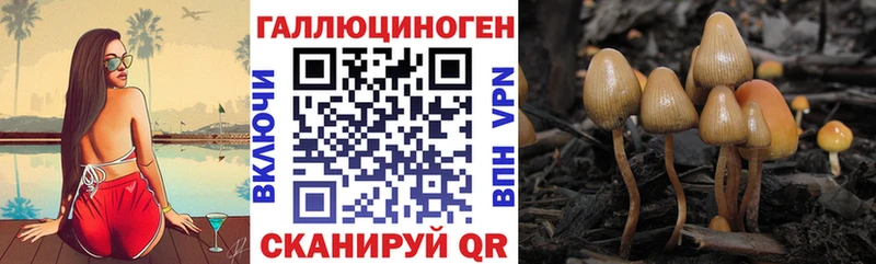 Галлюциногенные грибы Magic Shrooms что такое Заозёрный
